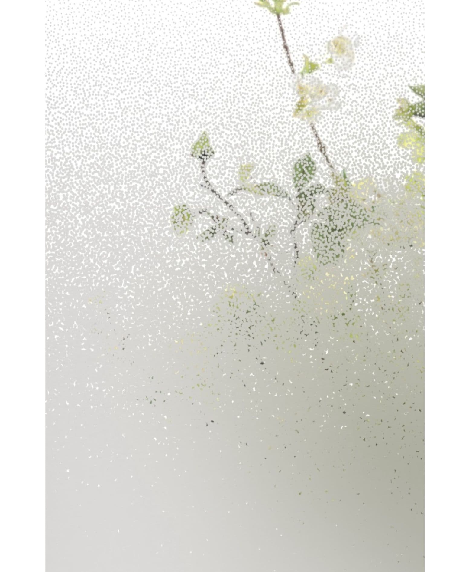 Mist